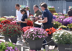 Veel geïnteresseerden.